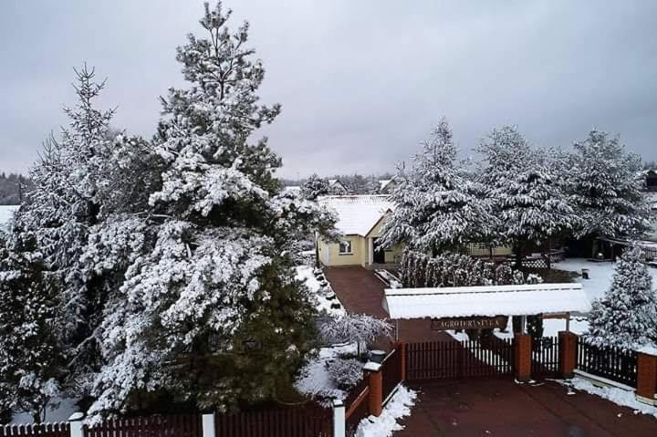 Agroturystyka Barycz 46 Konskie Luaran gambar